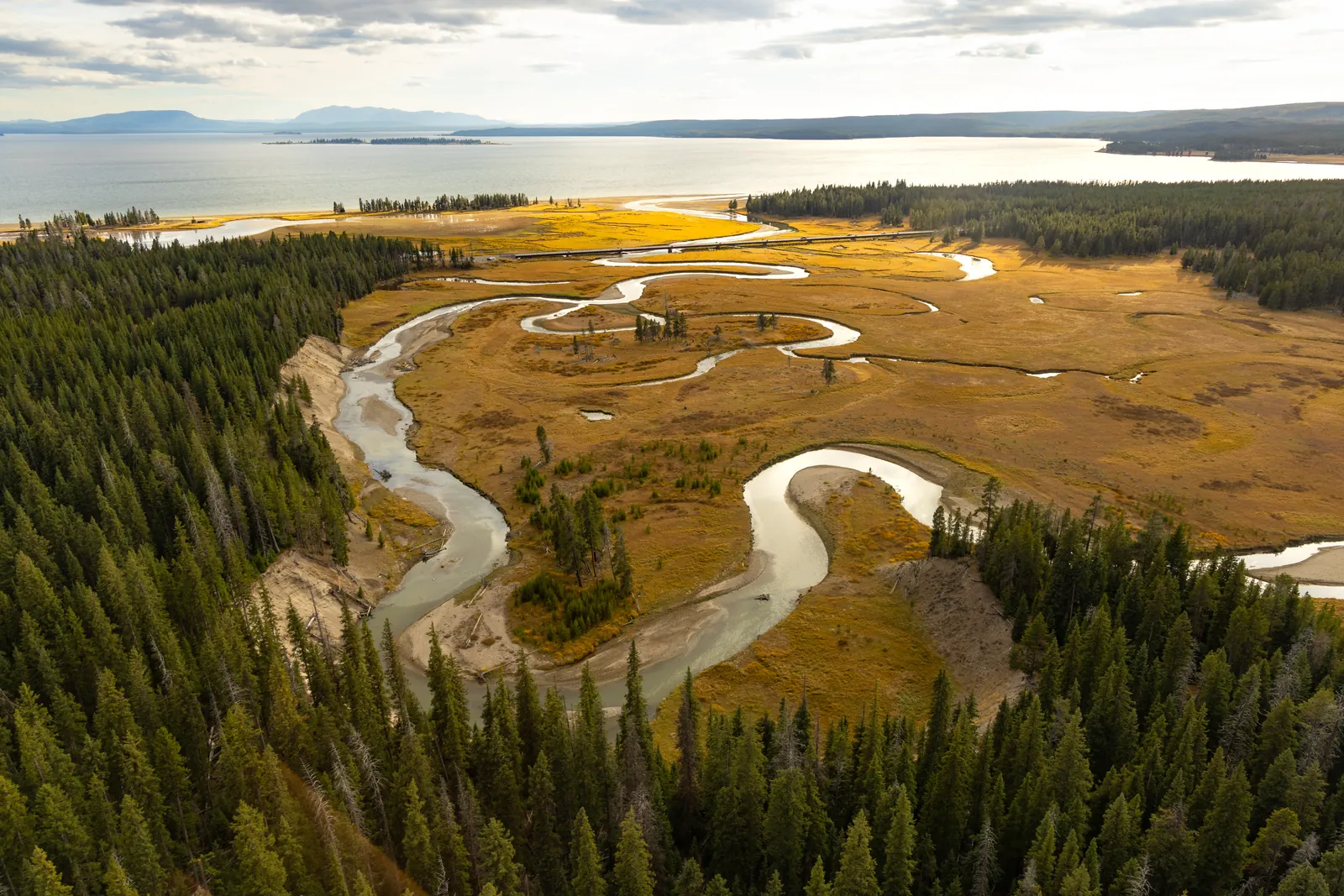 From above: Pelican Creek in Yellowstone National Park winds in tight loops through golden autumn meadows and conifer forest to Yellowstone Lake.