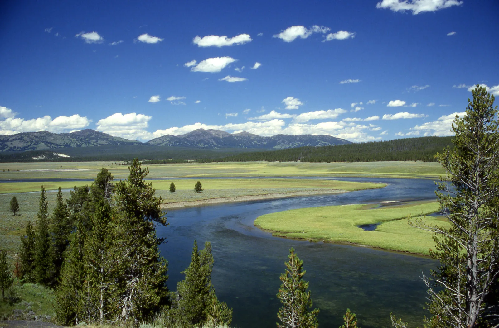 The Yellowstone River winds through Yellowstone National Park in wide loops through an open grassy valley, wooded heights on the horizon.