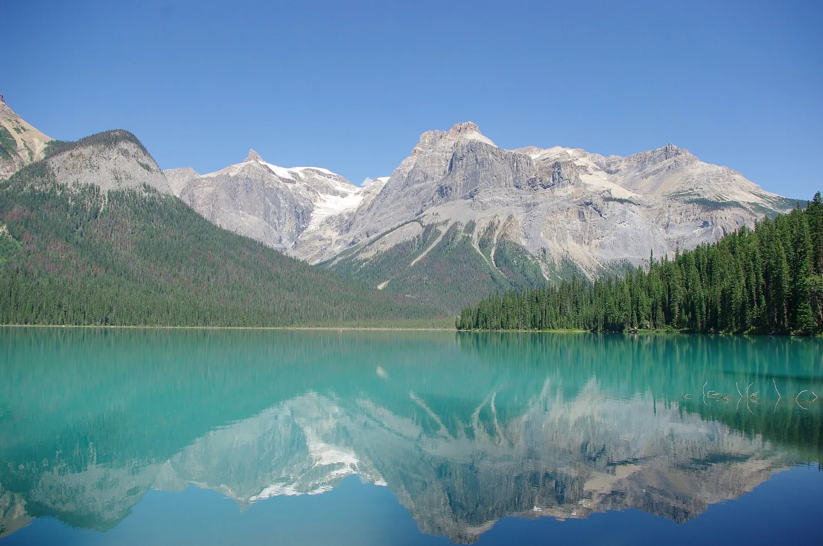 Turquoise Emerald Lake in Yoho National Park mirroring the President Range peaks on a calm day, dense conifer forest on the right shore.