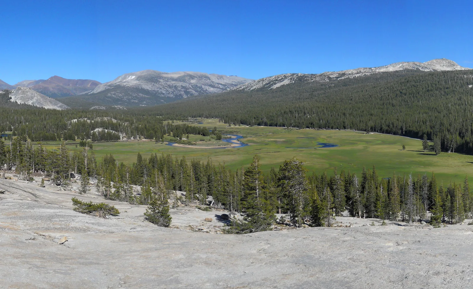 Tuolumne Meadows in Yosemite National Park: a wide green high meadow with a meandering river, surrounded by conifer forest and bare granite mountains