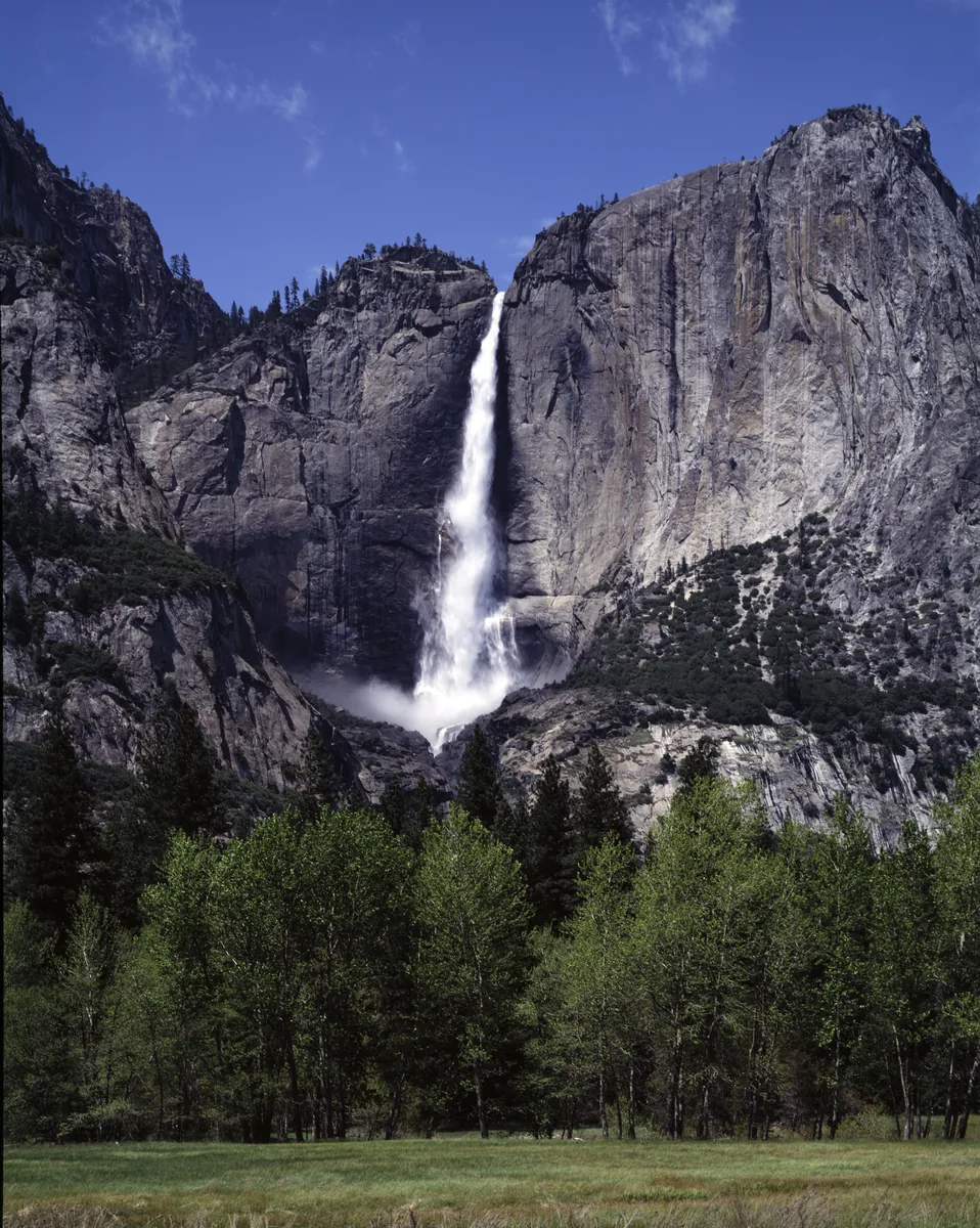 Yosemite Fall in Yosemite National Park plunges in a white cascade over a dark granite wall, with green deciduous trees and a meadow in front