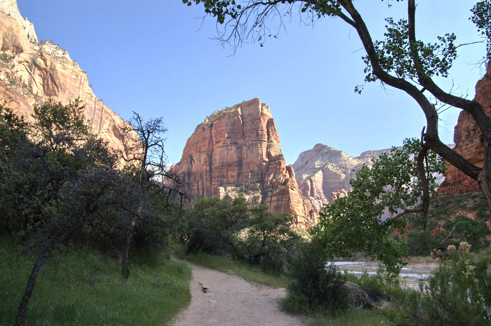 The free-standing rock mass of Angels Landing in Zion National Park above the green canyon floor, with a sandy trail in front.