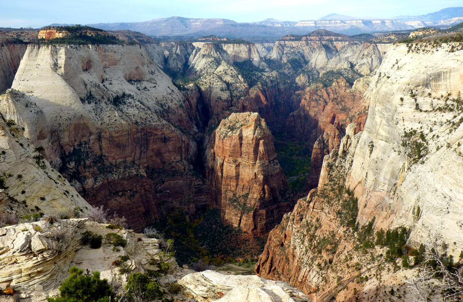 Looking down into Zion Canyon in Zion National Park: the red rock fin of Angels Landing between pale sandstone domes.