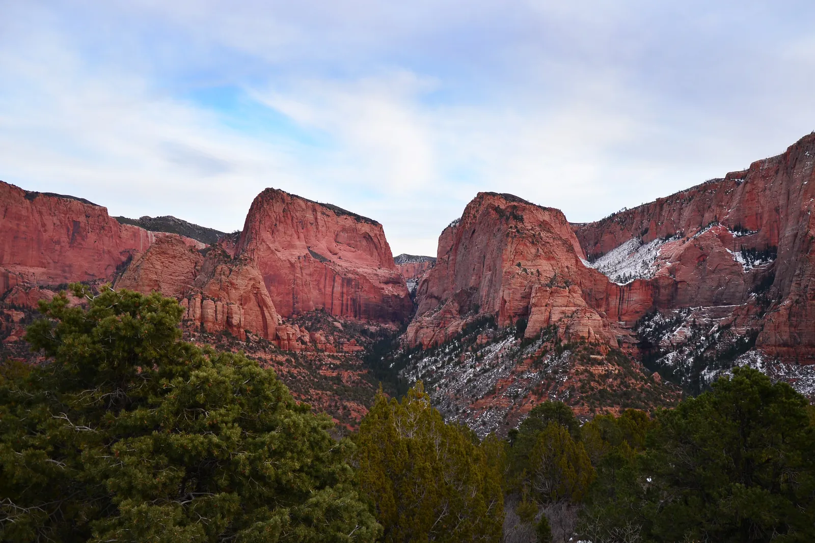 Red sandstone walls and rock fingers of the Kolob Canyons in Zion National Park with patches of snow, dark trees in front under a pale cloudy sky.