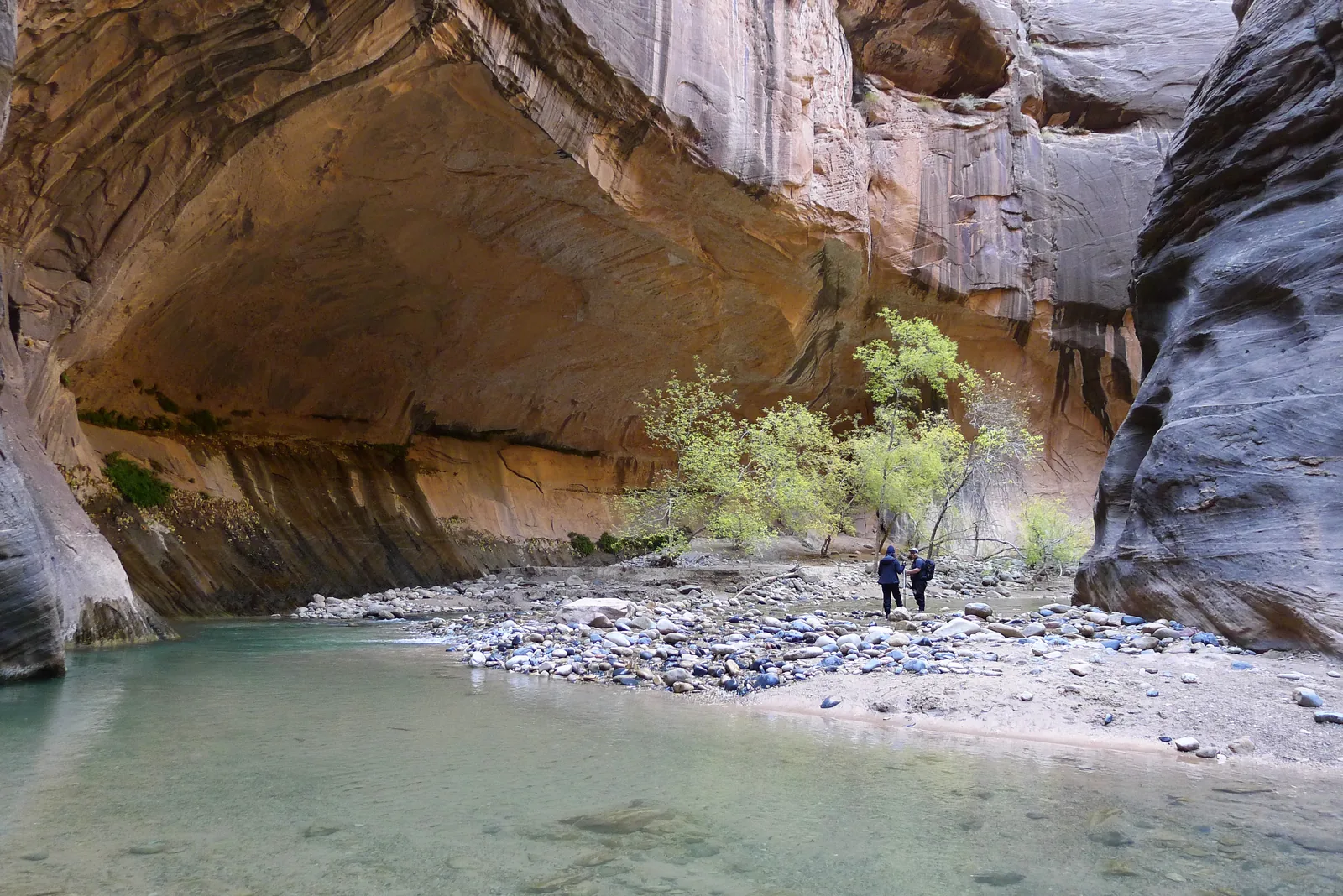 The Narrows in Zion National Park: turquoise water between high, smoothly polished sandstone walls, with two hikers and a single tree on the bank.