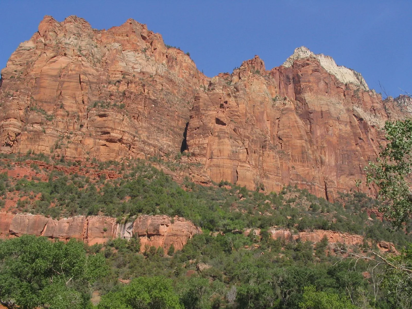 The Patriarchs in Zion National Park: red sandstone walls with pale domes above wooded slopes in Zion Canyon.