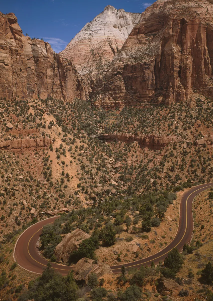 A red-surfaced switchback road in Zion National Park winds through sandstone slopes, with pale rock walls behind.