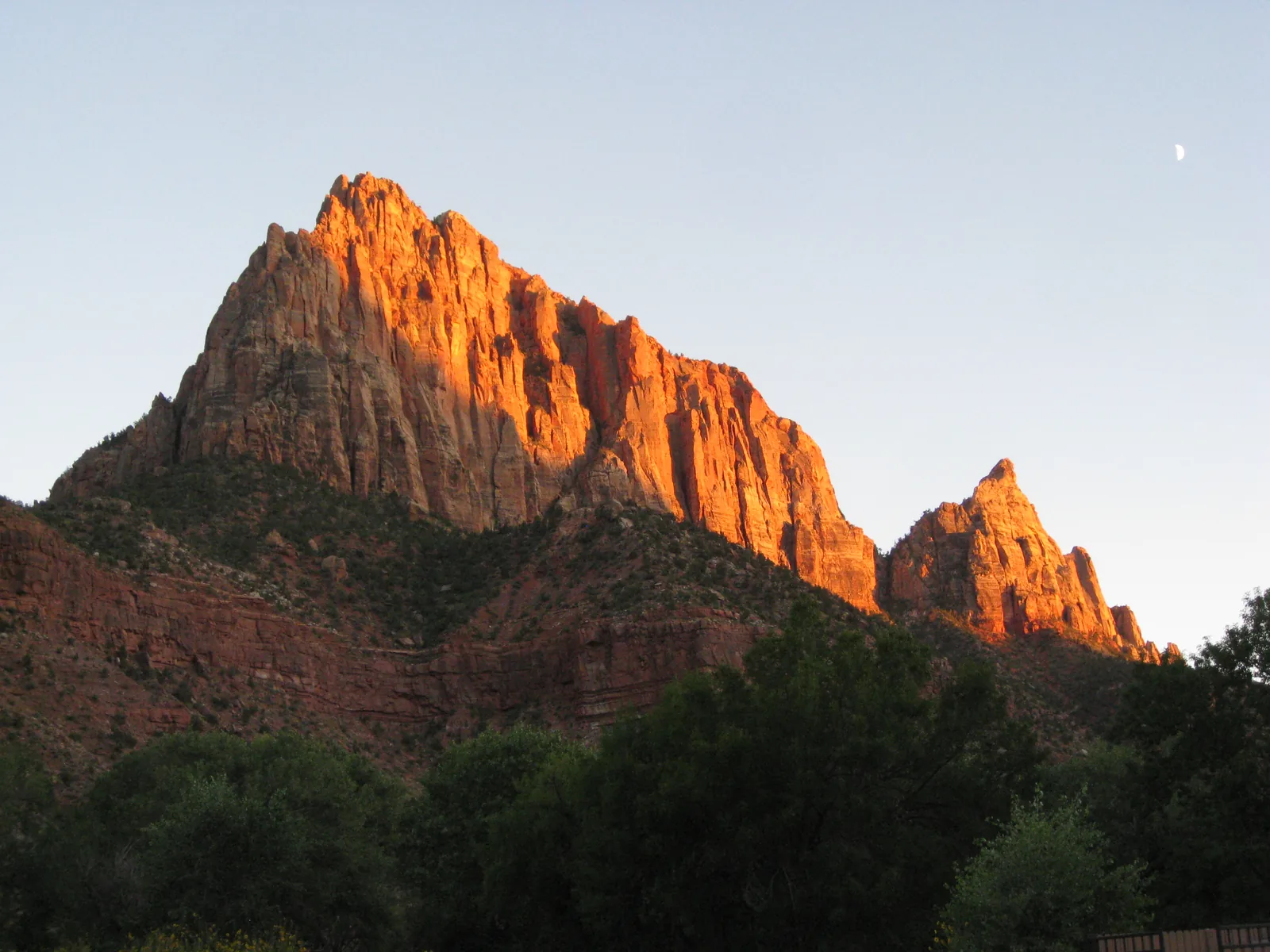 The Watchman in Zion National Park in evening light: a glowing red sandstone peak above wooded slopes, with the waxing moon above.